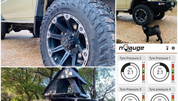 LC79 getting nGauge-d!